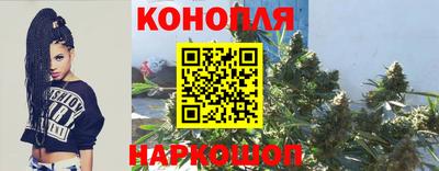 сатива Будённовск
